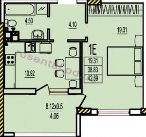 Общая площадь 42,89 м² комната 19,31 м² кухня 10,92 м² коридор 4,10 м² санузел 4,50 м² лоджия 8,12 м²